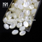 Turtur basi plana ovata 12 x 16 mm mater margaritae