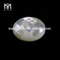 Turtur basi plana ovata 12 x 16 mm mater margaritae