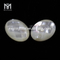 Turtur basi plana ovata 12 x 16 mm mater margaritae