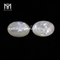 Turtur basi plana ovata 12 x 16 mm mater margaritae