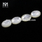 Turtur basi plana ovata 12 x 16 mm mater margaritae