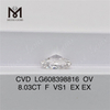 8.03CT Top Lab Partum Diamond F VS1 OV丨Messigems CVD LG608398816 