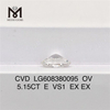 5ct iaspis libellum igi OV E VS1 pro Retailers CVD LG608380095丨Messigems 