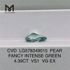 4.39CT PARI VALETUDO VENERIS VS1 VG EX CVD Viridis Diamond LG578349015