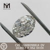 10.09CT F VS2 CVD OV maximus lab adamas IGI Certified Excellence丨Messigems LG608398814