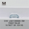 10.76CT SI1 EM CVD LG611399565 iaspis laboratorium caeruleum 
