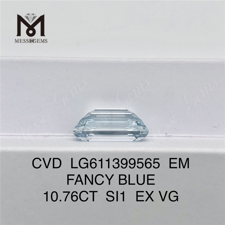 10.76CT SI1 EM CVD LG611399565 iaspis laboratorium caeruleum 