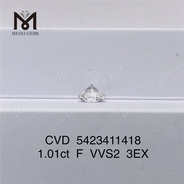1.01ct Lab Grown Diamond Price F VVS2 3EX Cultura soluta lab adamantis creata venalis