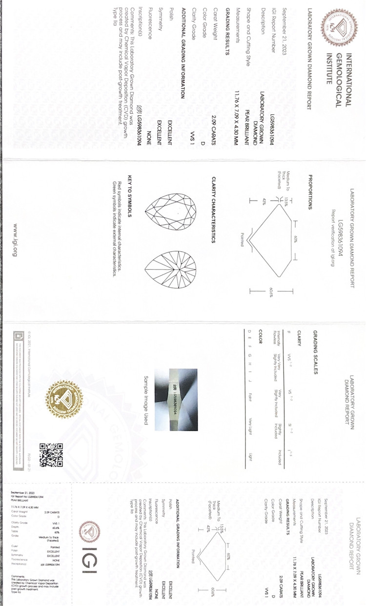 2ct cvd iaspis libellum