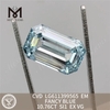 10.76CT SI1 EM CVD LG611399565 iaspis laboratorium caeruleum 