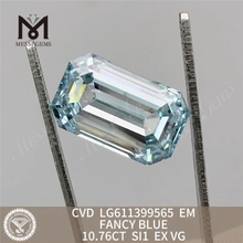10.76CT SI1 EM CVD LG611399565 iaspis laboratorium caeruleum 