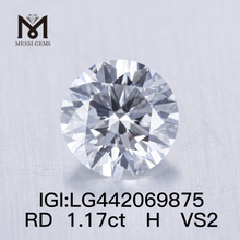 1.17 carat H VS2 SPECIMEN CIRCUMFECTUS 1 carat iaspis lab grandaevus