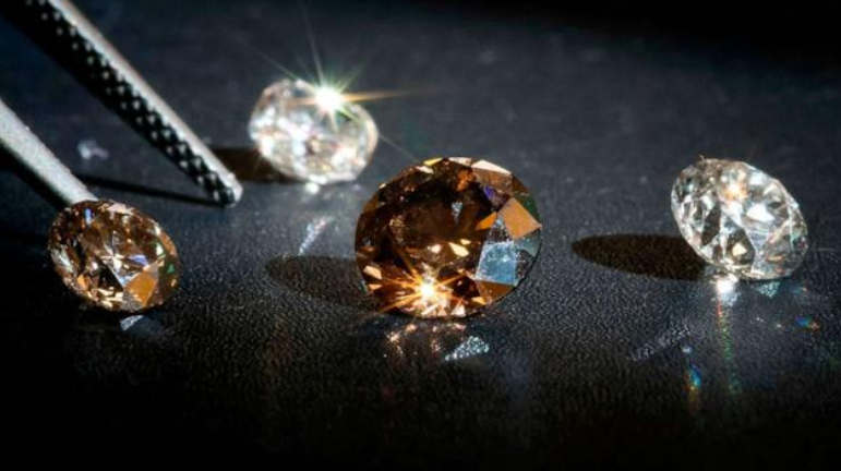 Saccharum Diamond