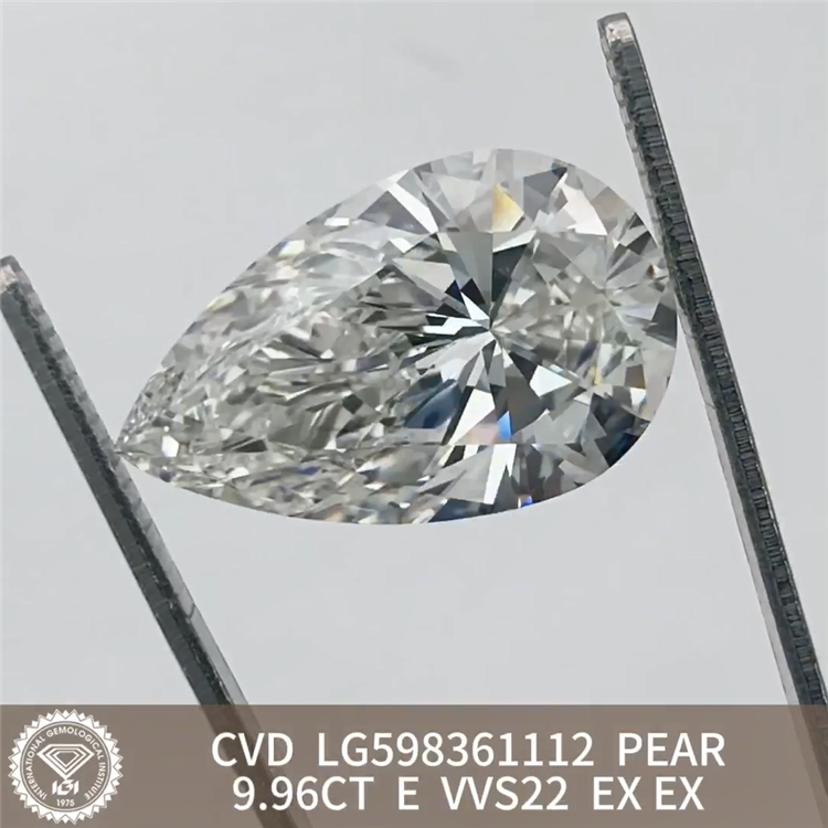 9.96ct vvs solvite crevit adamas