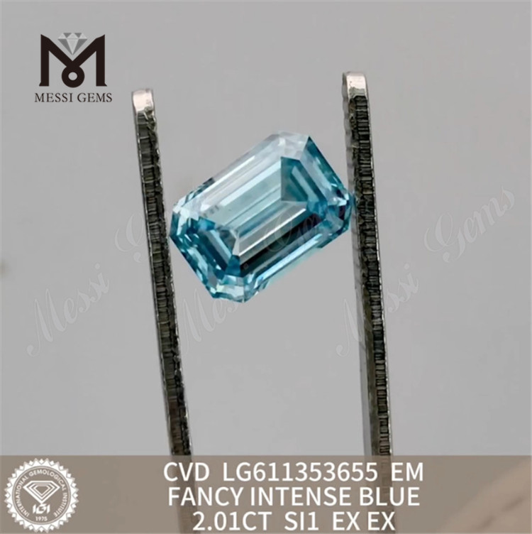 2.01CT EM CVD LG611353655 CVD LABOR VENERABILIS SOLVIS 