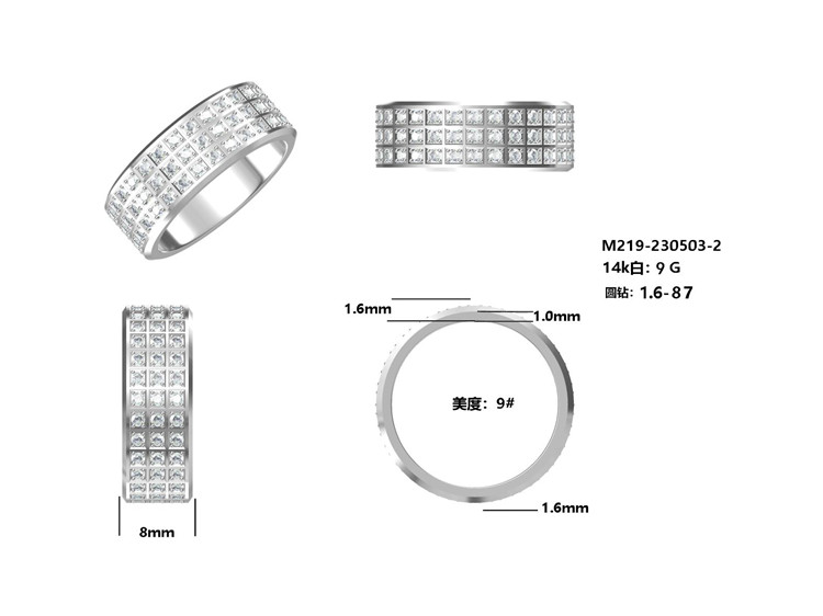 US9 # 14K White Aurum Ring Lorem proelio annulos ei