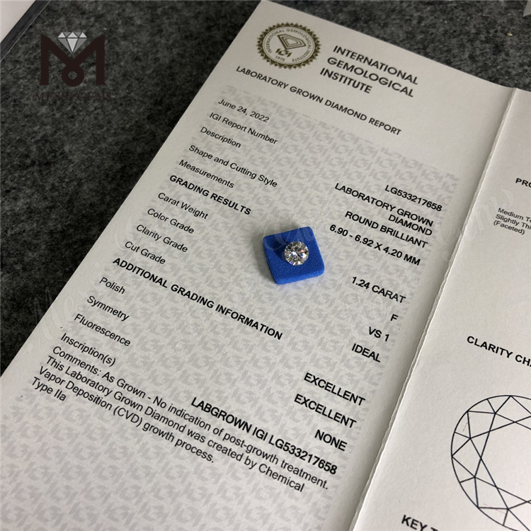 1.24ct F circum cvd fecit adamas vs RD cvd fabrica adamas
