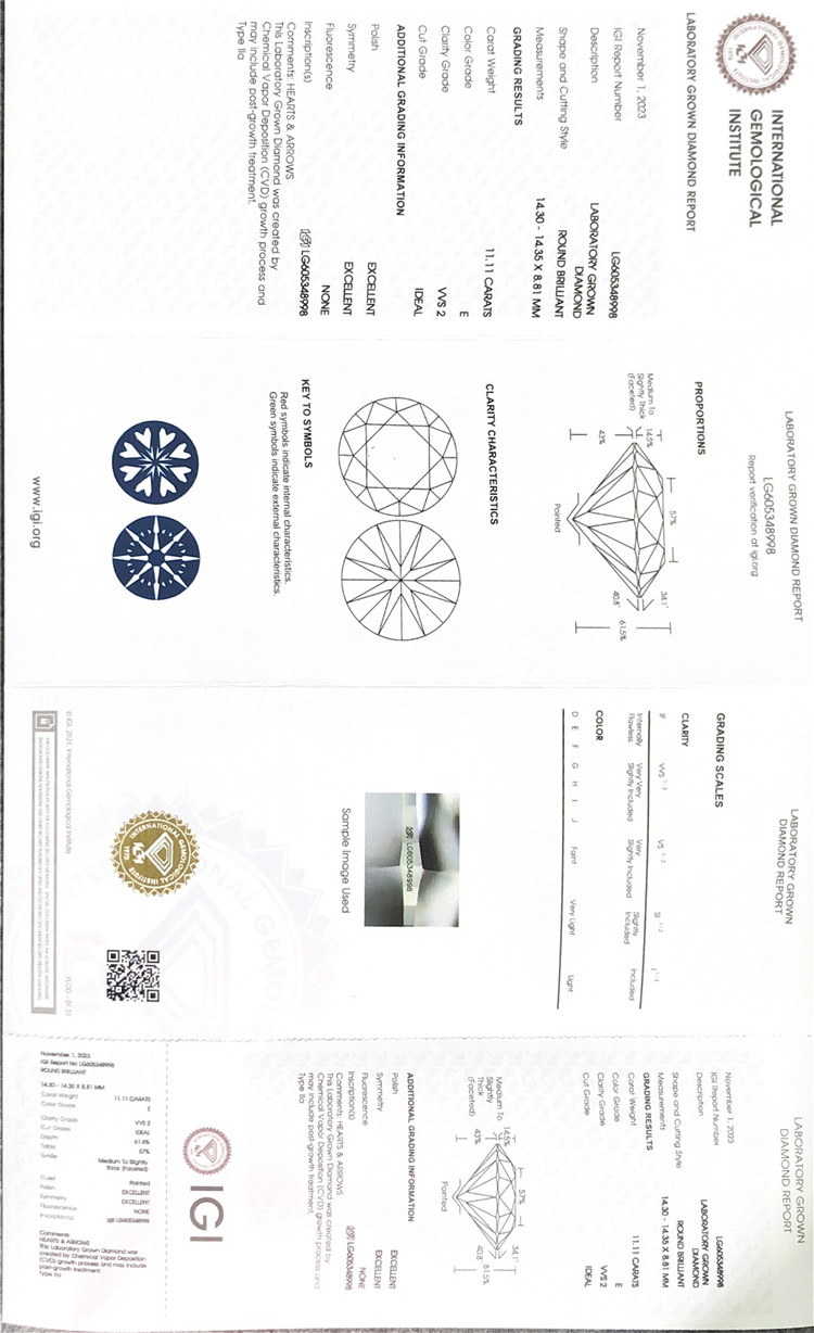 11ct igi certificationem