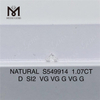 1.07CT D SI2 Pulchritudo solve Naturalia Diamond Craft Visio Tua