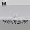 1.00CT E SI2 EX EX VG VG VG Tutus Naturalis Diamond P281466 Your Source for Bulk Purchases丨Messigems