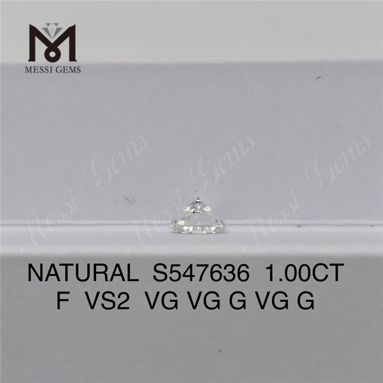 1.00CT F VS2 Authentic Naturalis Diamond Elegantiae in optimo S547636丨Messigems