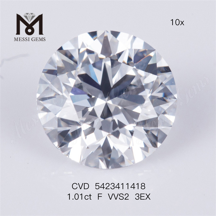 1.01ct Lab Grown Diamond Price F VVS2 3EX Cultura soluta lab adamantis creata venalis