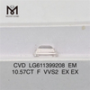 10.57CT EM F VVS2 CVD in lab adamante fecit LG611399208丨Messigems 