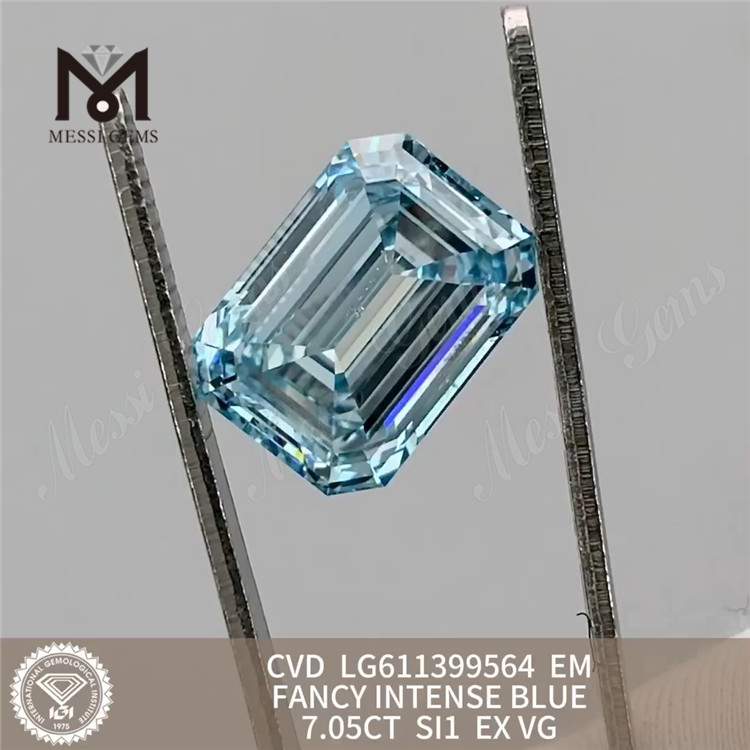 7.05CT SI1 EM CVD LG611399564 CVD LABOR GRAVIDA VENERABILIS 