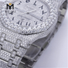 Hip Hop Moissanite Diamond Watch Pass Diamond Tester VVS Moissanite watch