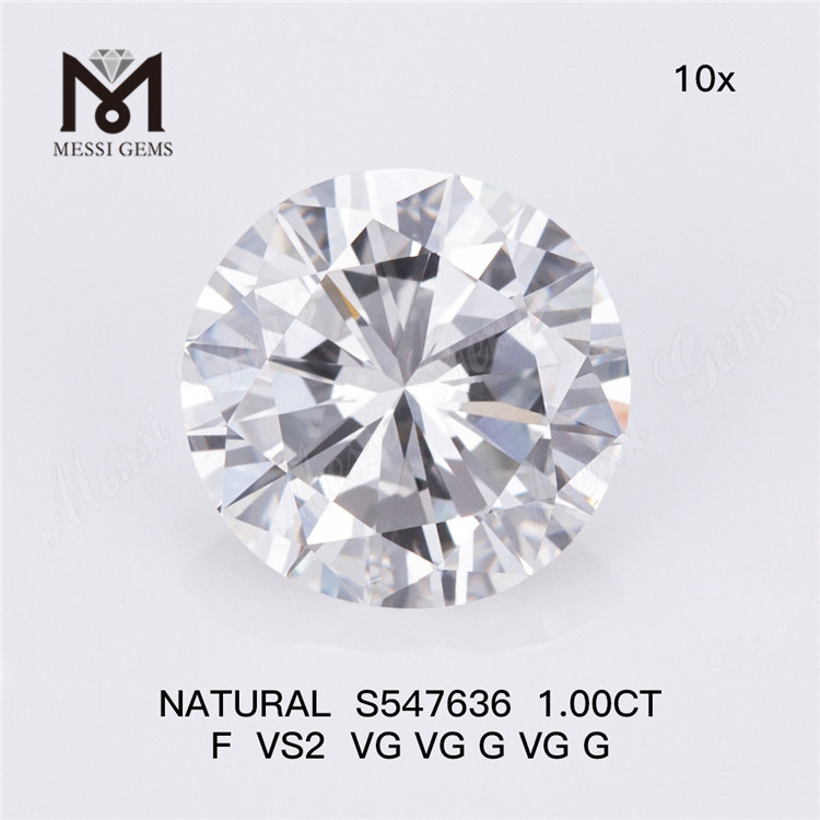 1.00CT F VS2 Authentic Naturalis Diamond Elegantiae in optimo S547636丨Messigems